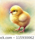 Cute Chicks: Spring Warmth and Natural Healing 115930062