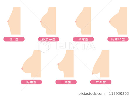 Breast Shape Types 115930203