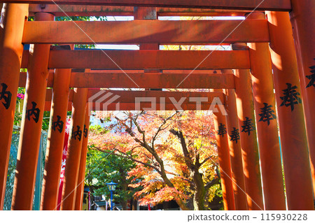 秋葉花園稻荷神社（東京都台東區上野公園） 115930228
