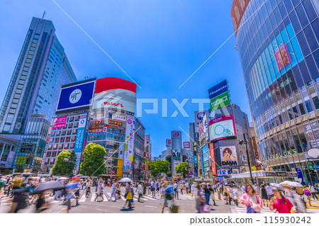 Tokyo cityscape in Japan in June. Inbound tourism is back... View of the bustling Shibuya Scramble Crossing, etc. = 19th 115930242