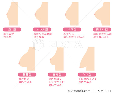 Breast Shape Types 115930244