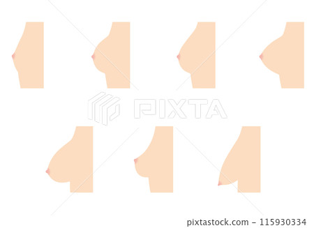 Breast Shape Types 115930334