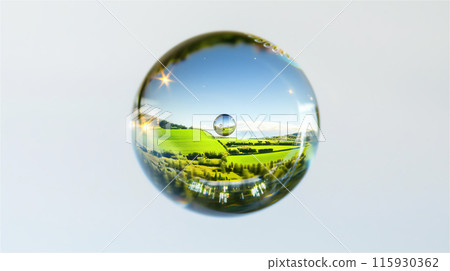 反映綠色自然的圓形透明玻璃球 115930362