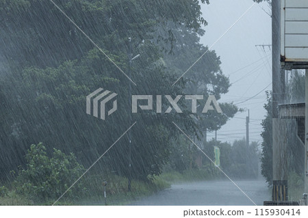 A scene of heavy rain: large raindrops hitting the forest and road 115930414