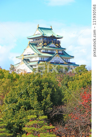 Scenery of Osaka Castle, Osaka City, Osaka Prefecture 115930568