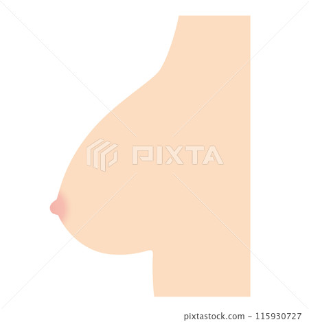 Breast shape type: Bell-shaped 115930727