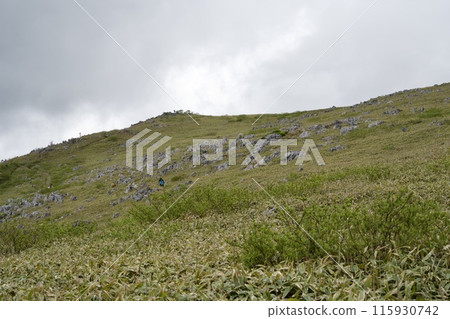 Scenery of Tengu Plateau on a cloudy day Scenery of Tengu Plateau on a cloudy day 115930742