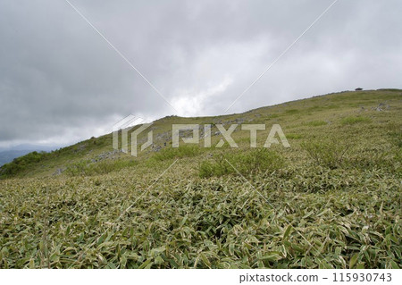 Cloudy sky and grassland scenery of Tengu Plateau Cloudy sky and grassland scenery of Tengu Plateau 115930743