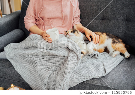 No face woman in plaid drinking hot tea, petting a relaxed cat on the sofa at home. Cozy and comfortable winter or autumn weekend. Pleasant ways to keep warm. Take a break and relax. Selective focus. No face woman in plaid drinking hot tea, petting a relaxed cat on the sofa at home. Cozy and comfortable winter or autumn weekend. Pleasant ways to keep warm. Take a break and relax. Selective focus. 115930796