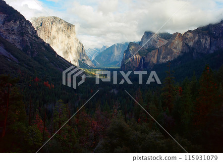 Film Image Yosemite Valley California Film Image Yosemite Valley California 115931079