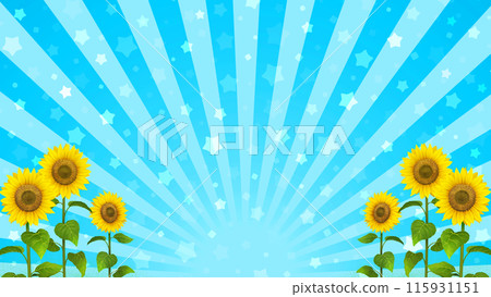 Summer event background Sunflower 16:9 115931151