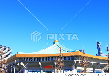 東京都千代田區日本武道館風景 115931604