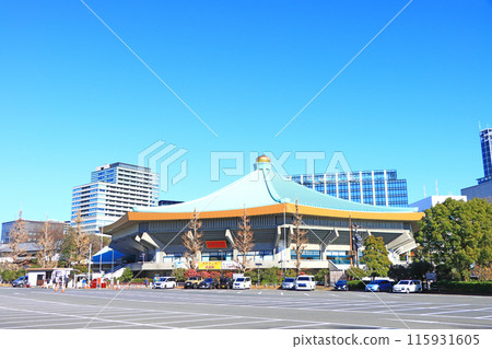 東京都千代田區日本武道館風景 115931605