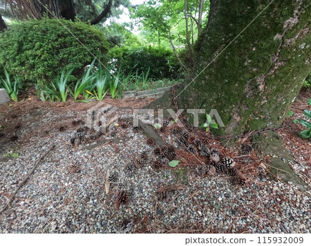 碧南市應仁寺 碧南市應仁寺 115932009