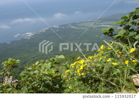 Apoi Kimbai and the town of Samani seen from the Mt. Apoi hiking trail Apoi Kimbai and the town of Samani seen from the Mt. Apoi hiking trail 115932017