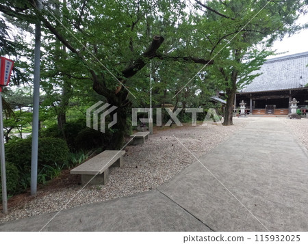 Hekinan City Oninji Temple Hekinan City Oninji Temple 115932025