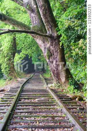 舊國鐵倉吉線遺址（鳥取縣倉吉市） 115932253