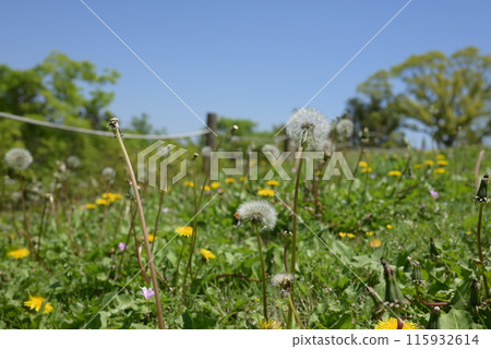 What has been done and what awaits 115932614