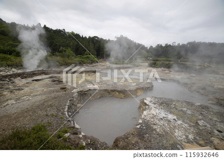 A large area of land is covered in steam and mud A large area of land is covered in steam and mud 115932646