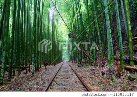Former Kurayoshi Line Abandoned Railway Site/Bamboo Forest (Kurayoshi City, Tottori Prefecture) Former Kurayoshi Line Abandoned Railway Site/Bamboo Forest (Kurayoshi City, Tottori Prefecture) 115933117