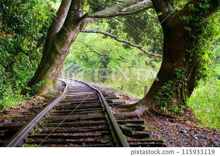 舊國鐵倉吉線遺址(鳥取縣倉吉市) 舊國鐵倉吉線遺址(鳥取縣倉吉市) 115933119