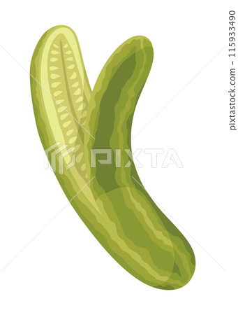 Homemade pickled cucumber. Clip-art of marinated food for packaging, label, menu, signboard or showcase. Fermented veggies, crunch gherkin with salt. Healthy vegetarian food 115933490