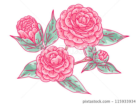 Illustration of camellia branch. Beautiful decorative plant. Illustration of camellia branch. Beautiful decorative plant. 115933934