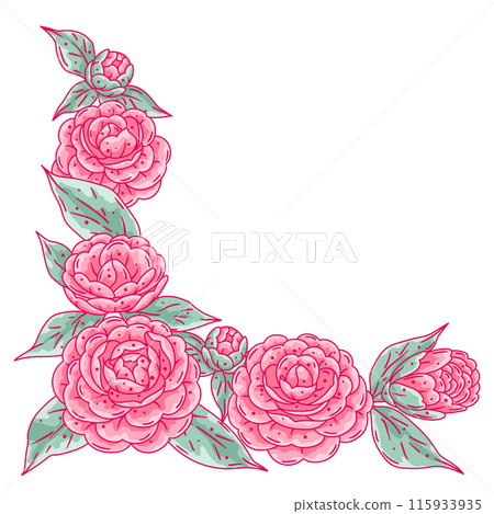 Background with camellia. Beautiful decorative plants. Background with camellia. Beautiful decorative plants. 115933935