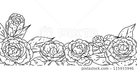 Background with camellia. Beautiful decorative plants. 115933946