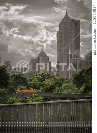 Architecture view of Modern high-rise buildings on blue sky background and Benjakitti park skywalk in front. 115933984