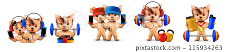 Funny dog holding sport equipment like dumbbell, kettlebell Funny dog holding sport equipment like dumbbell, kettlebell 115934263