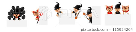 Dracula, devil and witch as cute pet dog. Halloween and Dead day 115934264