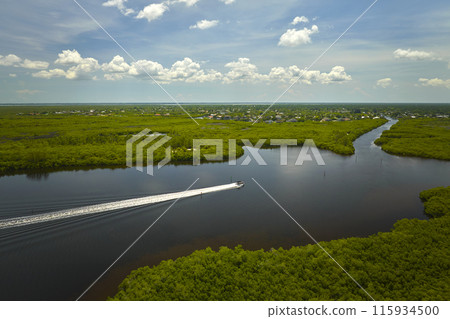 View from above of a motorboat floating on Florida everglades with green vegetation between ocean water inlets. Natural habitat of many tropical species in wetlands View from above of a motorboat floating on Florida everglades with green vegetation between ocean water inlets. Natural habitat of many tropical species in wetlands 115934500