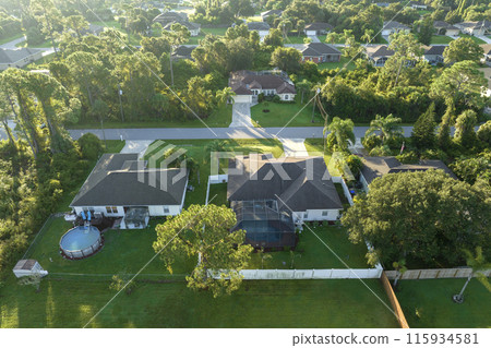 Aerial landscape view of suburban private houses between green palm trees in Florida quiet rural area 115934581