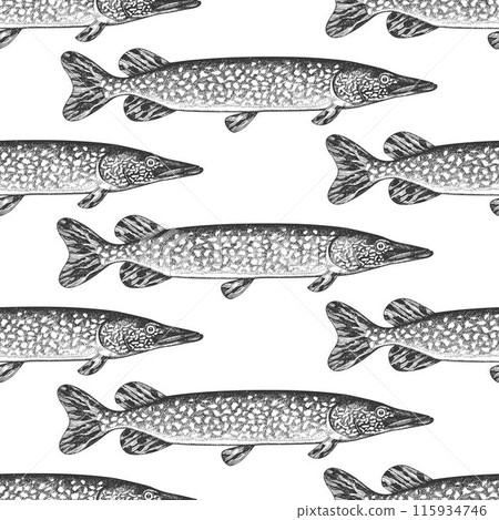 Vintage Style Pike Seamless Pattern. Vector Hand Drawn Fish Background. High Quality Old Fashion Illustration Vintage Style Pike Seamless Pattern. Vector Hand Drawn Fish Background. High Quality Old Fashion Illustration 115934746