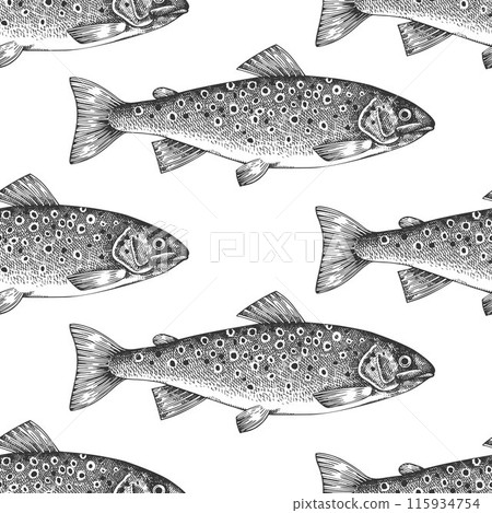 Vintage Style Trout Seamless Pattern. Vector Hand Drawn Fish Background. High Quality Old Fashion Illustration Vintage Style Trout Seamless Pattern. Vector Hand Drawn Fish Background. High Quality Old Fashion Illustration 115934754