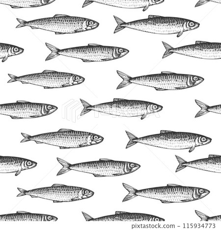 Vintage Style Sardines Seamless Pattern. Vector Hand Drawn Fish Background. High Quality Old Fashion Illustration 115934773
