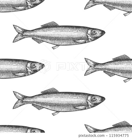 Vintage Style Herring Seamless Pattern. Vector Hand Drawn Fish Background. High Quality Old Fashion Illustration Vintage Style Herring Seamless Pattern. Vector Hand Drawn Fish Background. High Quality Old Fashion Illustration 115934775