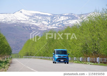 Spring driving image: Toyota Roomy Spring driving image: Toyota Roomy 115935050