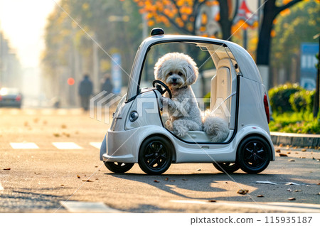 Small white dog sitting inside of small car on the side of the road. 115935187
