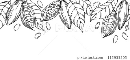 seamless border of cocoa beans, fruits and leaves. illustration with lines, sketch 115935205