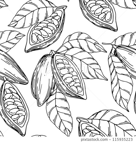 seamless pattern of cocoa beans, fruits and leaves. illustration with lines, sketch 115935223