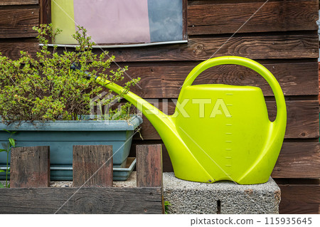 Green watering can next to flower pot against weathered wooden wall Green watering can next to flower pot against weathered wooden wall 115935645