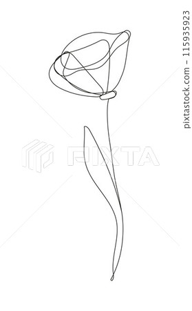 Vector illustration of a flower in continuous outline style. This elegant and minimalist botanical floral element 115935923