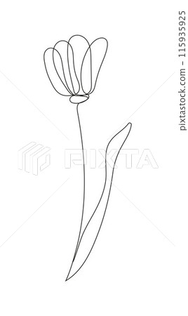 Vector illustration of a flower in continuous outline style. This elegant and minimalist botanical floral element 115935925