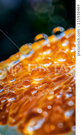 Drops of water and juice on a slice of orange highlighting the bright and juicy shades of the fruit, an idea for a background or screensaver for your phone 115936464