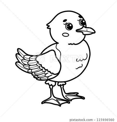 Cute cartoon seagull. Black and white outline vector Illustration of bird. Children's coloring page book 115936560
