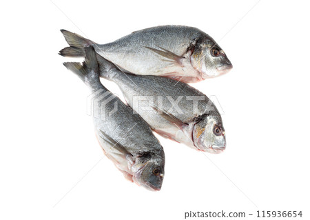 Top view of three scaled and grated dorado fish on a white background. 115936654