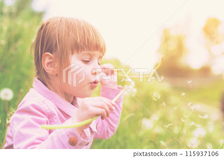 cute little girl blowing off dandelions in park with green lawn on the background toned with instagram filter cute little girl blowing off dandelions in park with green lawn on the background toned with instagram filter 115937106