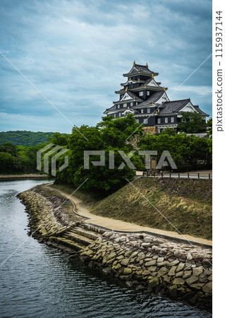 [岡山縣]岡山城和天空（令和大整修後） 115937144